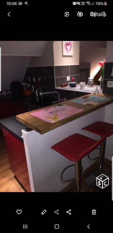 Apartment Duplex Dans La Vallee *
